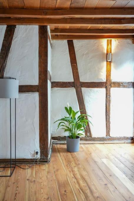 Charmante Fachwerk Wohnung Mit Terrasse In Der Altstadt Koblenz  Luaran gambar